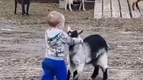 donkey Funny veri beauti full🙀animal video