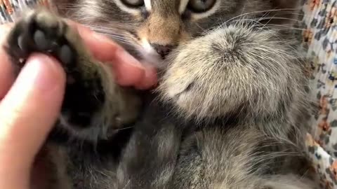 Cutest pussy enjoying moment