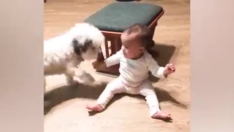 Best video of Cute Babies and Pets - Funny Baby and Pet