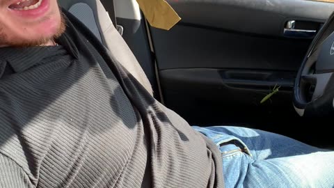 Driver Freaks Out Over Little Green Hitchhiker