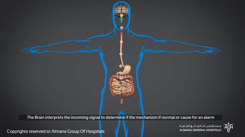 What is Irritable Bowel Syndrome and what are its symptoms?