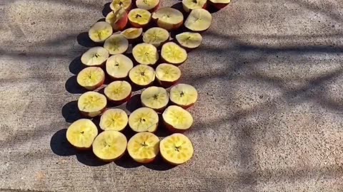 Apple Cutting Style