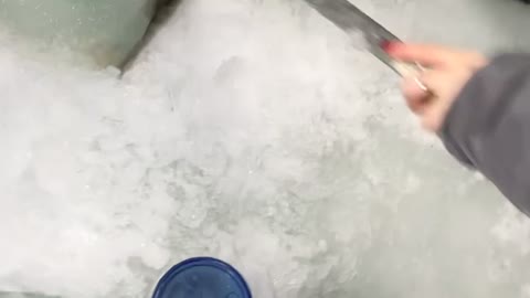 Struggling With an Ice Fishing Catch