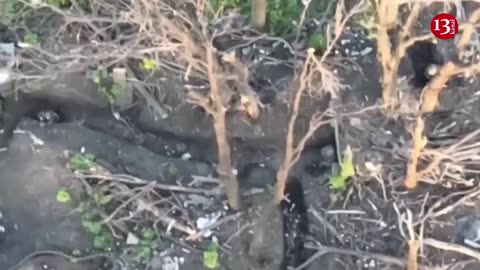 Killing invaders in the trench, Ukrainian fighters captured the surviving Russians