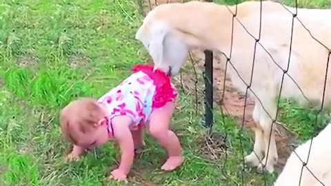American child play with animal #funny #americanchild #rumbleviralvideo