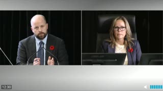 Emergency Act Inquiry. Tamara Lich Answers Questions On The Freedom Convoy.