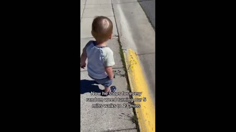 Mom teaches toddler to smell flowers, now he stops for every single weed!