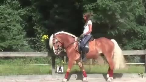 Horse SOO Cute! Cute And funny horse Videos Compilation cute moment #wonderfulworld #wonderful_world