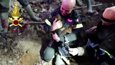 Italian firefighters rescue dogs stuck in fox den