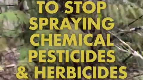 Spraying Glyphosate on our Forests - Stop the Spray!