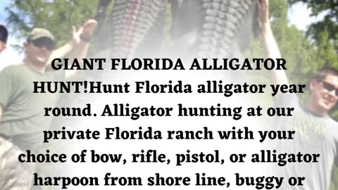 Florida gator hunting: Experience the Thrill of Adventures