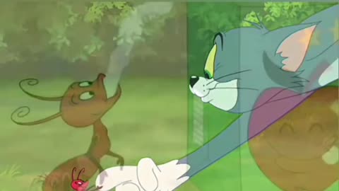 Tom and Jerry Lovers | Funny Cartoon Videos | Tom and Jerry