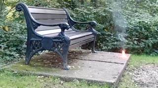 Small fire in the park