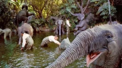 Jungle Cruise--Disneyland History--1950's--TMS-474