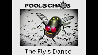 The Fly's Dance