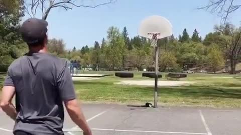 Man Makes Two Half-Court Basketball Shots While Balancing on Balance Board