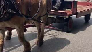 Jamming Trucker