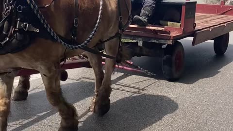 Jamming Trucker