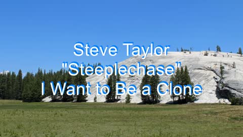 Steve Taylor - Steeplechase #272