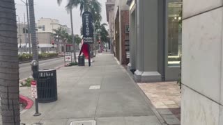 Walking iconic Rodeo Drive (Beverly Hills)