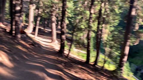 Central Oregon - Three Sisters Wilderness - Alpine Forest Overlooking Scenic Creek