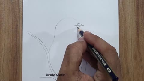 How to draw a Bird Scenery with pencil step by step, Pencil Drawing for beginners