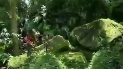 Bali, Indonesia. What was its purpose, were frequencies involved