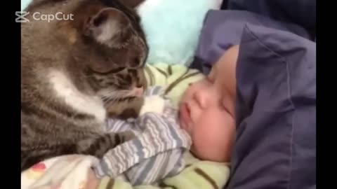 Cats Love Babies - Animal Love - Best Funny Cats and Dogs 😺