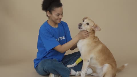Voluntary Dog training Video|Dog Training Video.