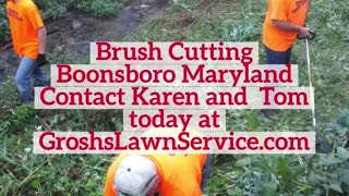 Brush Cutting Boonsboro Maryland Brush Removal Landscaping