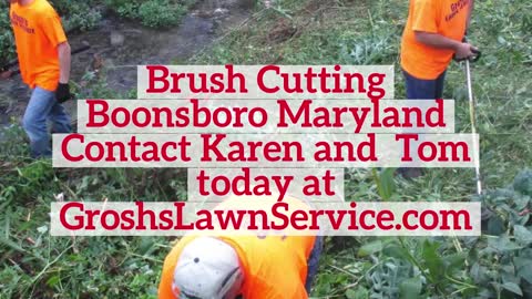 Brush Cutting Boonsboro Maryland Brush Removal Landscaping