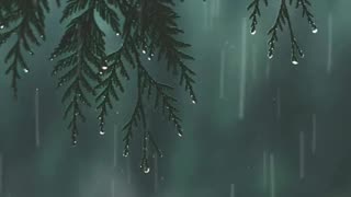 Rain...Love of Nature...