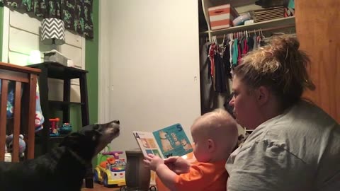 Funniest Baby Try To Read: What's New Baby? Cute Babies Videos