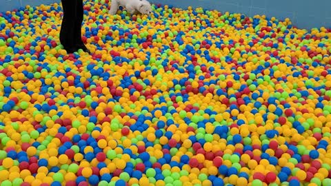 ball pool is funny!