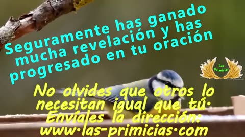 Capítulo 10 - Oraciones trascendentales (6/8)