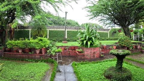Heavy Garden Rain