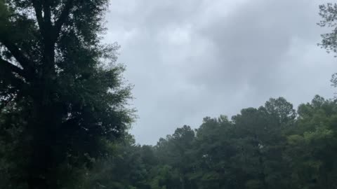 Southeast Georgia storm. And with ducks!