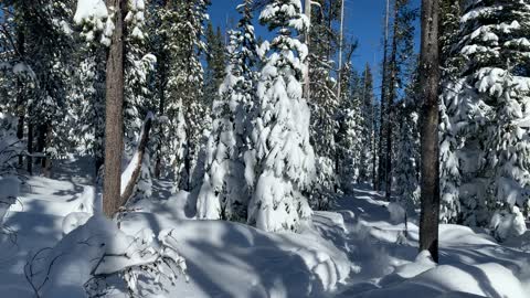 Snowy Goodness – Central Oregon – Swampy Lakes Sno-Park – 4K