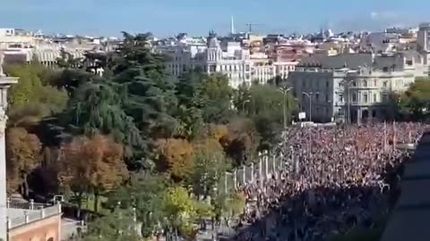 Spain: Madrid Protests