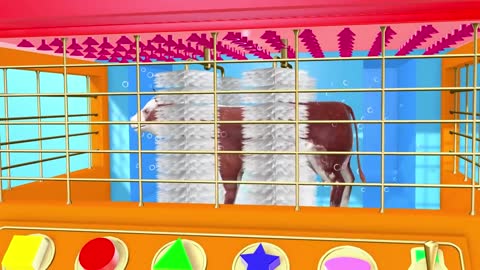 Fun Cow for Kids | Shapes | Animals Cow for Children-11