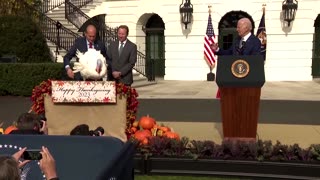 ‘Congratulations, birds’: Biden pardons Thanksgiving turkeys