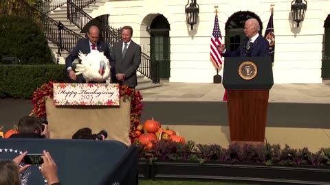 ‘Congratulations, birds’: Biden pardons Thanksgiving turkeys