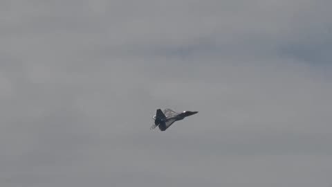 Do you like cool things? USAF F-22 RAPTOR FREEFALL AT HUNTINGTON BEACH AIRSHOW 2023