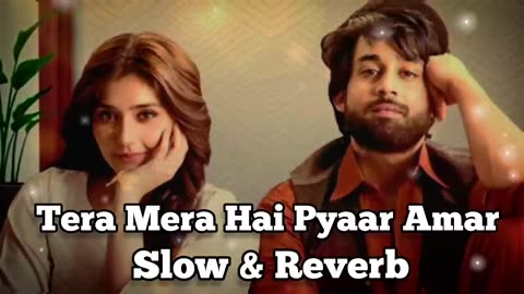 Tera Mera Hai Pyaar Amar | Slow & Reverb | Ishq Murshid Ost | Bilal Abba