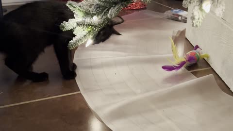 Mat Keeps Kitten From Toy Under Christmas Tree