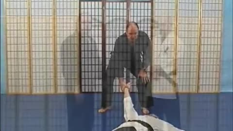 Joe Sheya Traditional Hapkido Volume 3