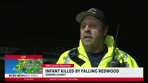 Atmospheric River Falling redwood kills infant in Sonoma County