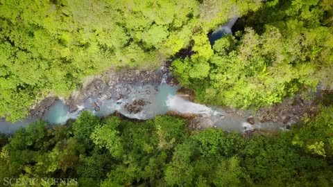 Amazon 4k - The World’s Largest Tropical Rainforest