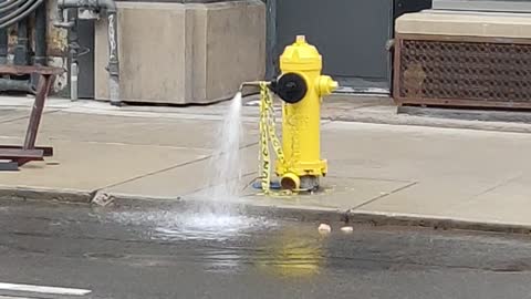 Lonely fire hydrant