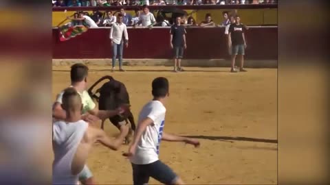 The Funniest Bullfighters in the World __ Most awesome bullfighting festival __
